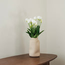 Avvio di tulipani bianchi