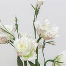 fleurs-en-papier-flowrette-lisianthus-blanc-bouquet