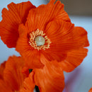 fleurs-en-papier-flowrette-pavot