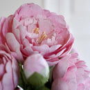 fleurs-en-papier-flowrette-pivoine