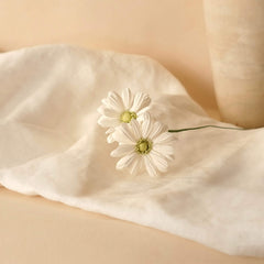 MARGUERS WHITE PARGE