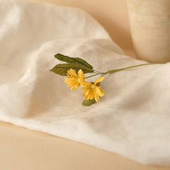 Margueriti selvatici in carta gialla