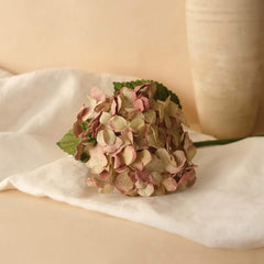 Old Pink Paper Hydrangea