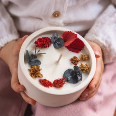 Candela dei fiori di natale