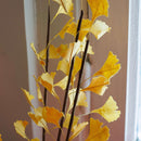 gingko-en-papier