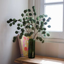 eucalyptus-en-papier-vert