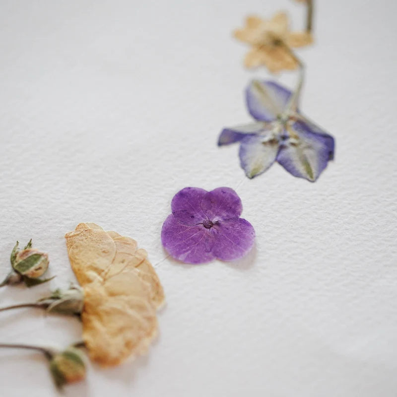 Erbario primaverile rotondo A4