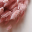 Botte fleurs séchées Lagurus Lilas