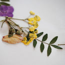 Erbario primaverile rotondo A4