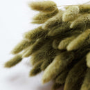 Botte fleurs séchées Lagurus Vert olive