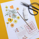flowrette-fleurs-pressee-herbier-diy