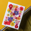 flowrette-fleurs-pressee-multicolore