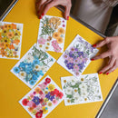 flowrette-fleurs-pressee-roses