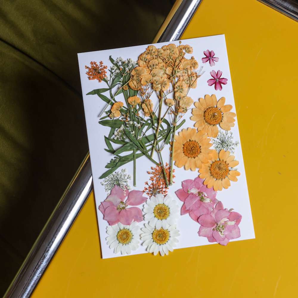 flowrette-fleurs-pressee-roses