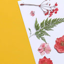 fleurs-pressee-rouge