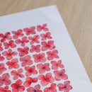 herbier-flowrette-fleurs-sechee-teinte-rose