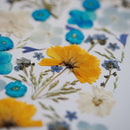 herbier-fait-main-fleurs-bleues-jaunes