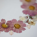 herbier-fleurs-pressees-flowrette