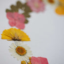 herbier-fleurs-pressees-flowrette