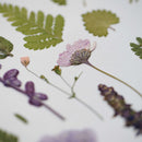 herbier-fleurs-pressees-flowrette