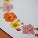 herbier-fleurs-pressees-flowrette