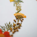 herbier-fleurs-pressees-flowrette