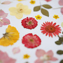 herbier-fait-main-fleurs-jaunes-roses