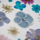 herbier-fait-main-fleurs-bleues-roses