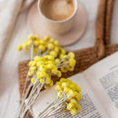 Botte fleurs séchées immortelle jaune