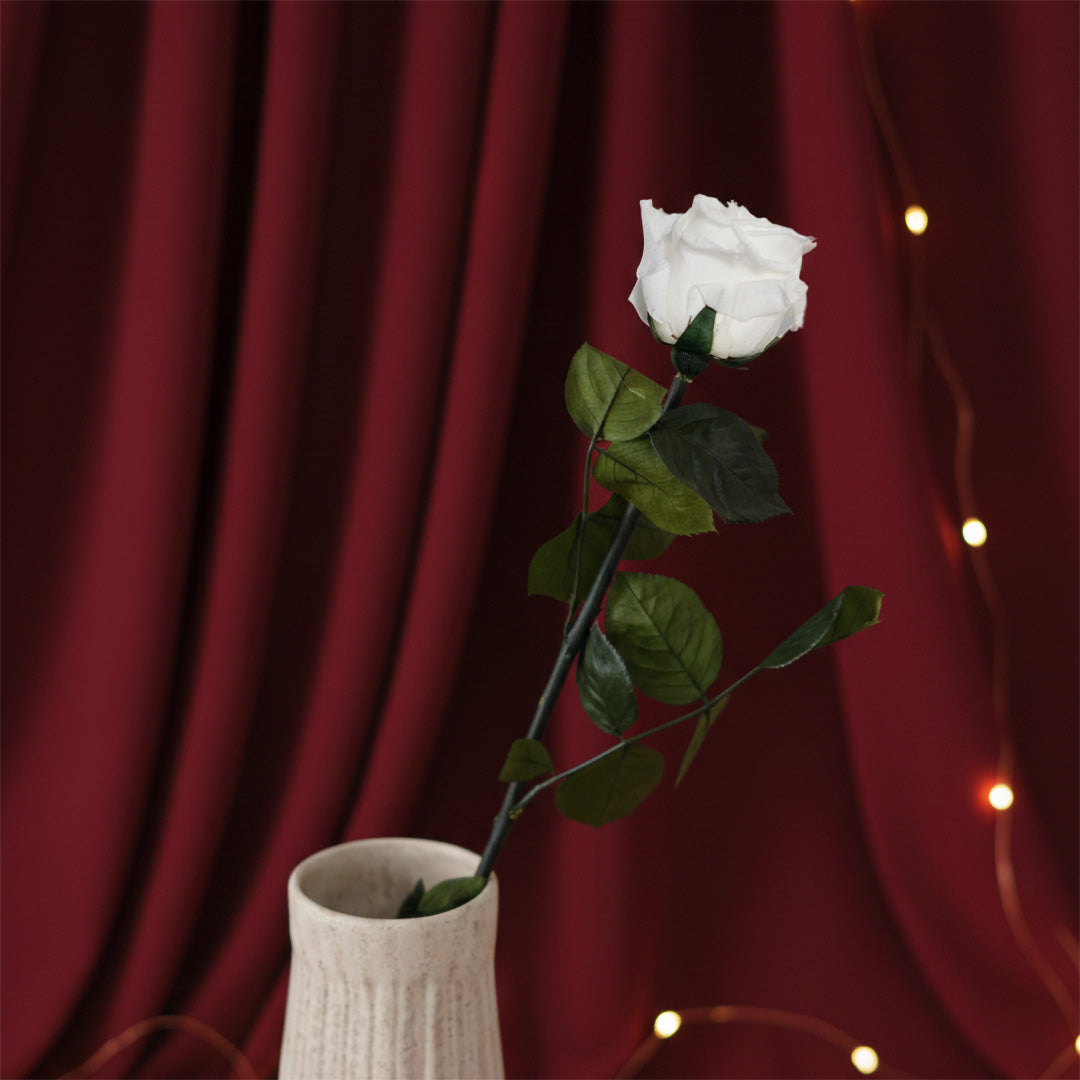 Pink bianco stabilizzato