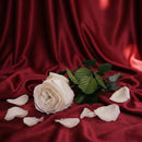 Pink inglese bianco stabilizzato