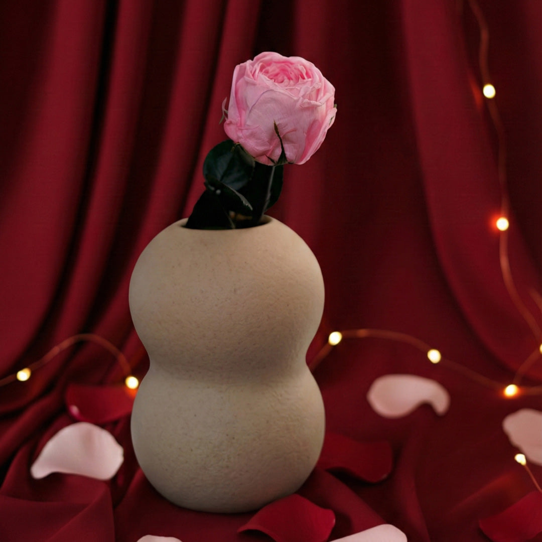 Rosa rosa inglese rosa