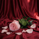 Rosa rosa inglese rosa