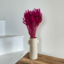 Botte fleurs séchées Lagurus Magenta