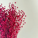 Botte fleurs séchées Lin Bordeaux