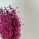 Botte fleurs séchées Lin Violet