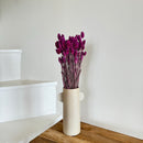 Botte fleurs séchées Phalaris violet