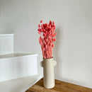 Botte fleurs séchées Phalaris Vieux rose