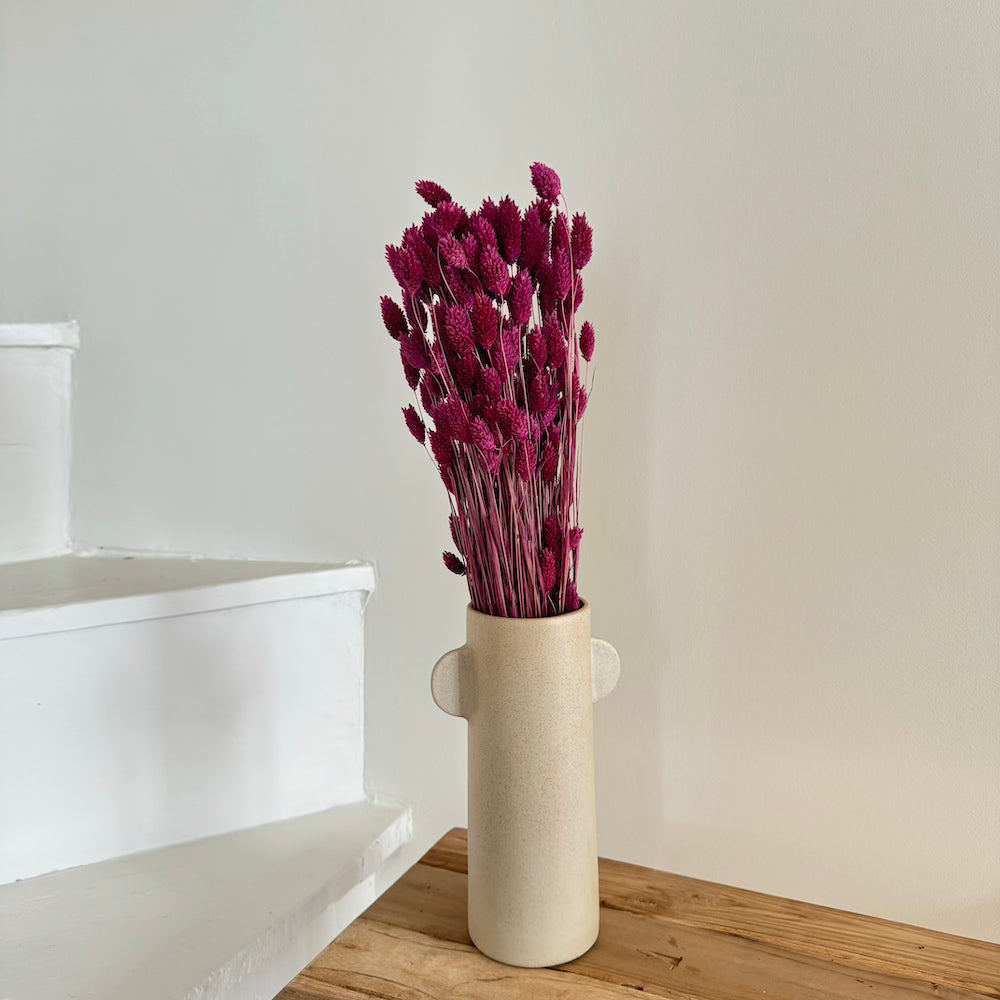 Botte fleurs séchées phalaris bordeaux