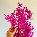 Botte fleurs stabilisées Ruscus Violet