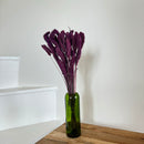 Botte fleurs séchées Sétaire Violet