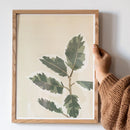 affiche-agathe-marty-ficus-el-tineke