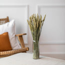 Botte fleurs séchées Blé vert