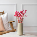 botte-fleurs-sechees-phalaris-rose-fucshia-flowrette