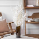 ruscus-botte-fleurs-sechees