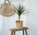 cache-pot-raphia-artisanal-14cm-jaune-dracaena-maho