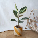 cache-pot-raphia-jaune-17cm