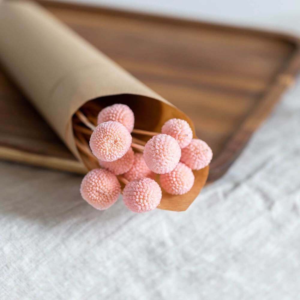 Botte fleurs stabilisées Craspedias roses