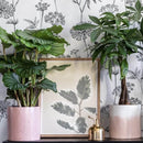 jungle-urbaine-flowrette