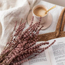 lavande-stabilisee-rose